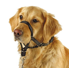 Kerbl Maxi Coach Köpek Eğitim Tasması L Siyah 44 cm'den Küçük