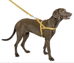 Kerbl Reflektörlü Köpek Göğüs Tasması L Siyah-Turuncu 70-90 cm