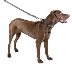 Kerbl Shiny Night L 45-65 cm Fosforlu Köpek Boyun Tasması Siyah-Beyaz