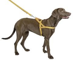 Göğüs Tasması Reflektörlü 60 - 75 cm