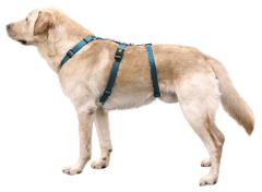 Kaçış Önleyici Köpek Tasması Petrol Yeşili  55 cm - 74 cm - L