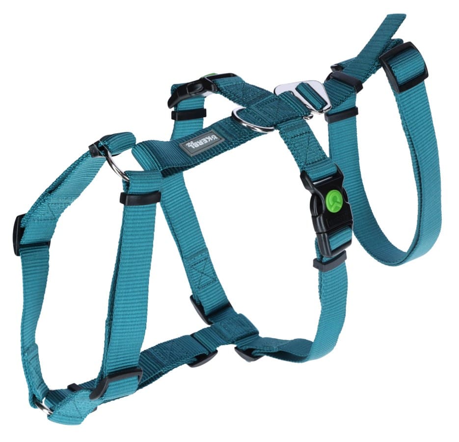 Kaçış Önleyici Köpek Tasması Petrol Yeşili  72 cm - 103 cm, XL