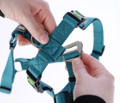 Kaçış Önleyici Köpek Tasması Petrol Yeşili  72 cm - 103 cm, XL