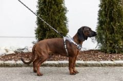 Kerbl Fitty Y Tipi Köpek Göğüs Tasması M Beden Gri-Bej 58-74 cm Göğüs