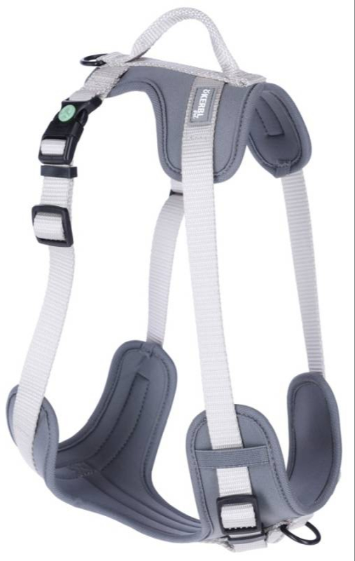 Y Tipi Spor Köpek Göğüs Tasması 25 mm (50-85 / 75-100 cm) - Fitty Serisi - L