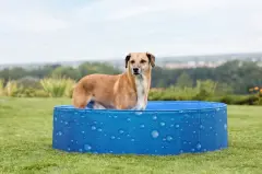 Büyük Köpek Havuzu 120x30 cm | 340l Damla Desenli Mavi