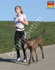 Köpek Koşu Tasması Active