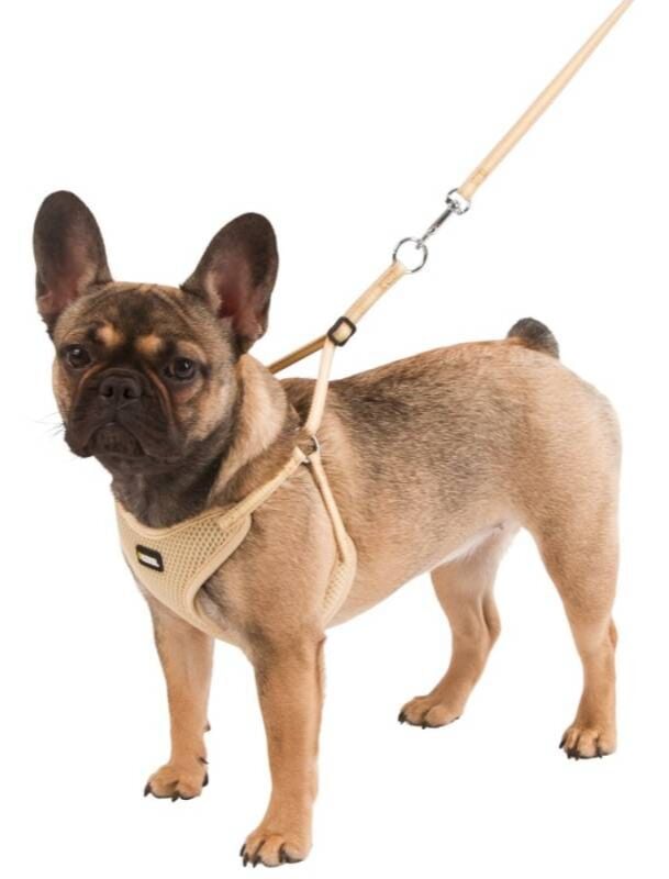 24 - 44 cm Yavru Köpek Tasması Puppy Harness