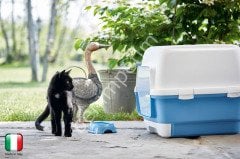 Çekmeceli Kedi Tuvaleti Cathy