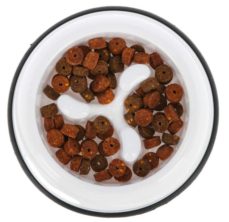 Köpek Yavaş Yeme Kabı Plastik 500 ml