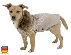 Köpek Montu Wild Life