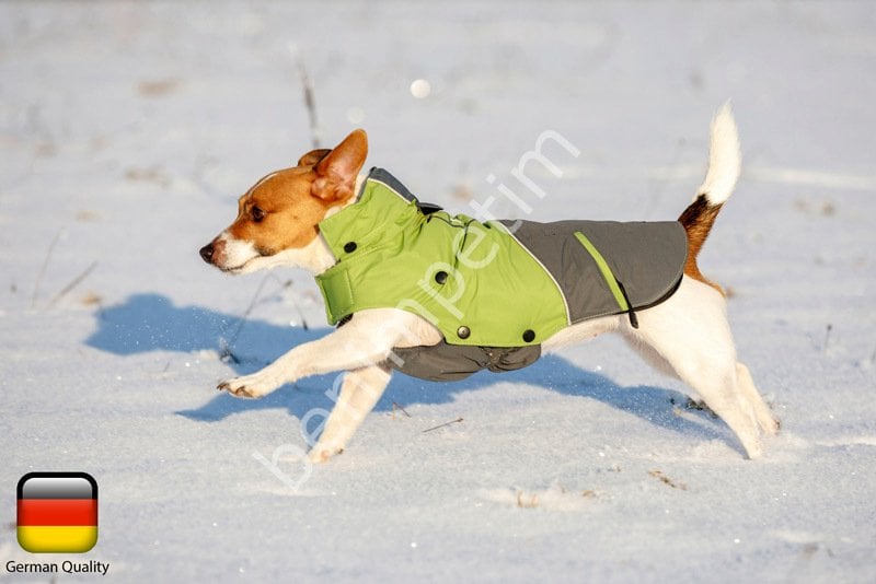 Kapşonlu Köpek Montu Vancouver