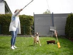 Teleskopik uzayan Köpek ve Kedi Oyuncak Sopası