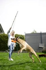 Teleskopik uzayan Köpek ve Kedi Oyuncak Sopası