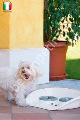 İkili Mama Kabı 300ml + 250ml