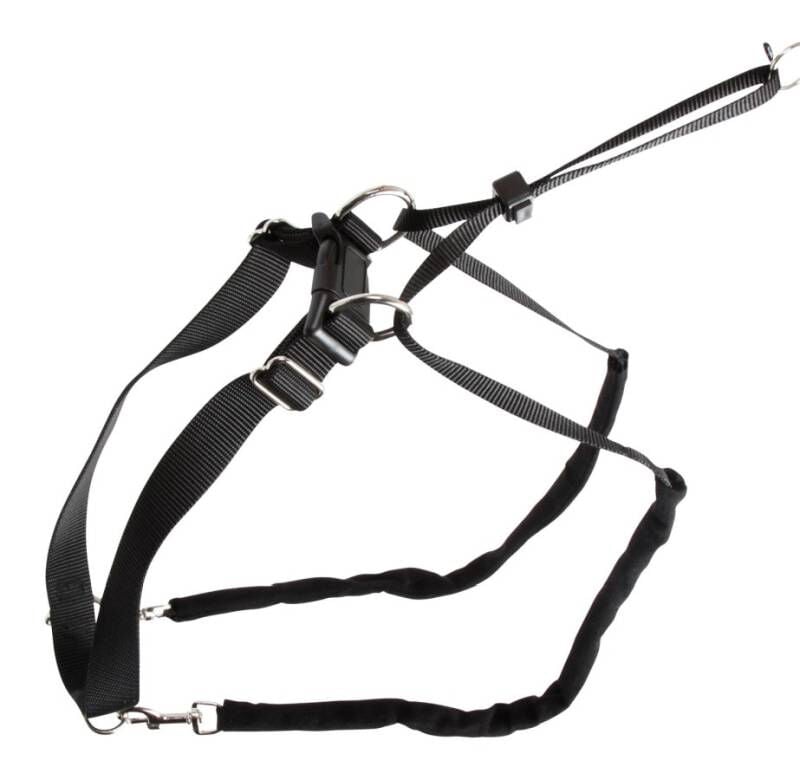 Kerbl Maxi Leader Çekiş Kontrol Köpek Eğitim Tasması S Siyah 25-30 cm