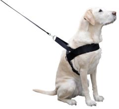 Kerbl Miami Plus Köpek Göğüs Tasması S Siyah 60-75 cm