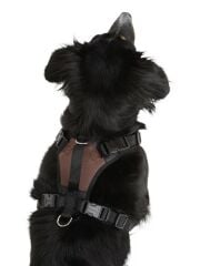 Kerbl Pulsive Köpek Göğüs Tasması M Siyah-Kahve 46-60 cm