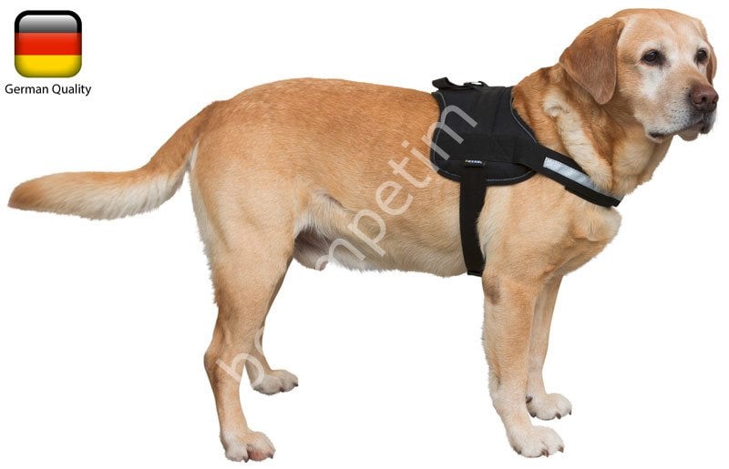 Köpek Vücut Tasması Maestro 1.0