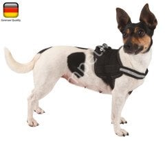 Köpek Vücut Tasması Maestro 1.0