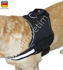 Köpek Vücut Tasması Maestro 1.0