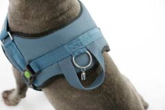 Kerbl Maestro 2.0 Köpek Göğüs Tasması S Petrol Mavisi 45-60 cm