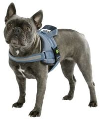 Kerbl Maestro 2.0 Köpek Göğüs Tasması S Petrol Mavisi 45-60 cm