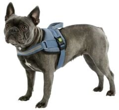 Kerbl Maestro 2.0 Köpek Göğüs Tasması S Petrol Mavisi 45-60 cm