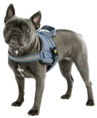 Kerbl Maestro 2.0 Köpek Göğüs Tasması S Petrol Mavisi 45-60 cm