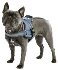 Kerbl Maestro 2.0 Köpek Göğüs Tasması S Petrol Mavisi 45-60 cm
