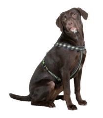 Kerbl Xenos Reflektörlü Kilitli Köpek Sırt Tasması M Siyah Neon Sarı 30-40 cm
