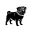 Pug
