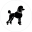 Poodle