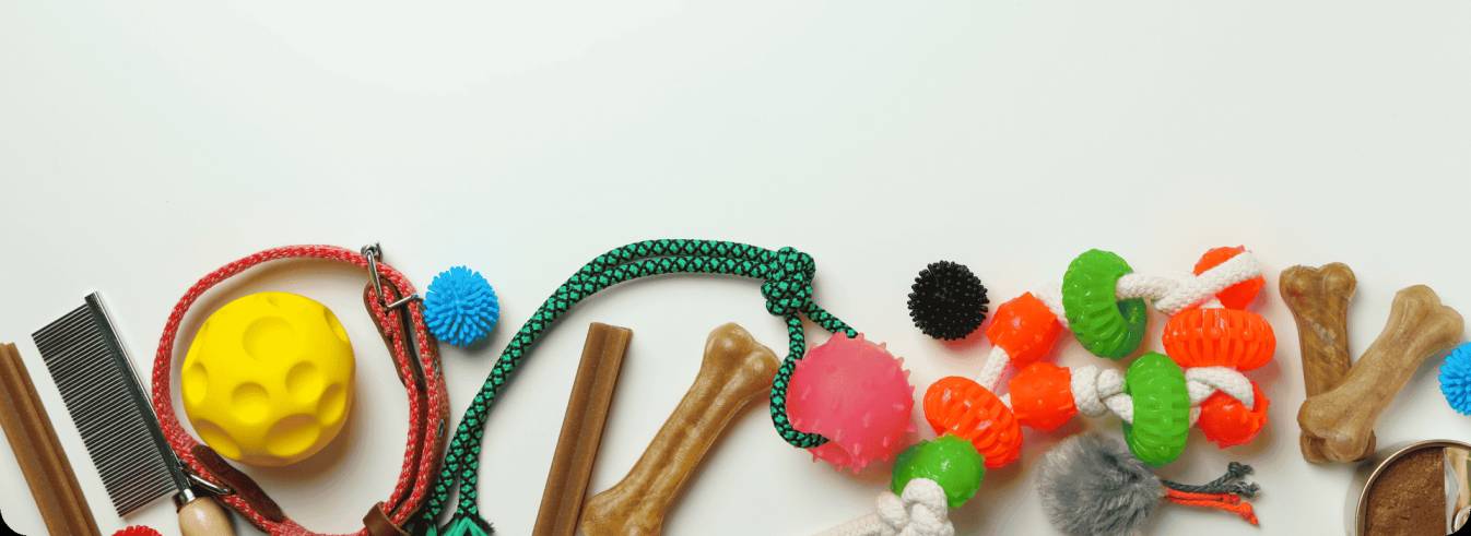 Evcil Dostlarınız İçin Her Şey Burada!